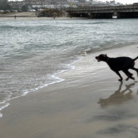 Photo taken at Del Mar Dog Beach by Simplicious C. on 8/11/2023