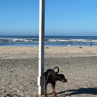 Photo taken at Del Mar Dog Beach by Simplicious C. on 4/1/2024