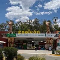 Photo taken at Zooleón by jappalino on 5/14/2023