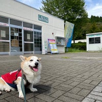 湯ノ岳pa 下り 常磐上湯長谷町辰ノ口92 3