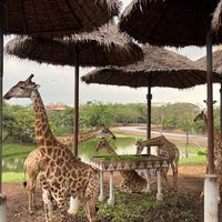 Photo taken at giraffe feeding by Arthur L. on 11/26/2022