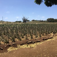 Das Foto wurde bei Aloe Vera Plantation. von Miranda c. am 3/11/2018 aufgenommen