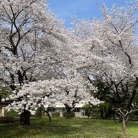 Photo taken at ICU High School by Aki Y. on 4/13/2024