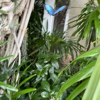 Foto scattata a Butterfly House at Faust County Park da Keren G. il 8/14/2022