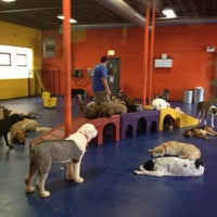 Photo taken at Urban Pooch Canine Life Center by Carol F. on 6/15/2013