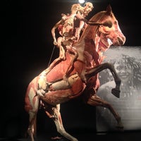 Photo taken at Body Worlds: The Original Exhibition by Jackie V. on 12/28/2013