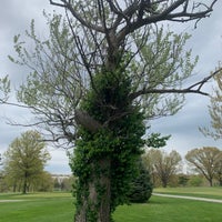 4/20/2020 tarihinde ᴡ W.ziyaretçi tarafından Forest Park Golf Course'de çekilen fotoğraf