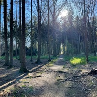 Photo taken at Kunratický les by Panislecna M. on 4/4/2024