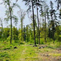 Photo taken at Kunratický les by Panislecna M. on 4/14/2024