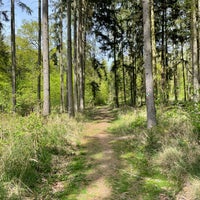 Photo taken at Kunratický les by Panislecna M. on 4/13/2024