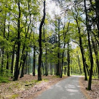 Photo taken at Kunratický les by Panislecna M. on 4/18/2024