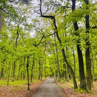 Photo taken at Kunratický les by Panislecna M. on 4/20/2024