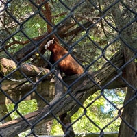 Photo taken at Woodland Park Zoo by Conor M. on 8/3/2023