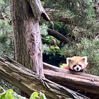 Photo taken at Red Panda by Conor M. on 7/16/2021