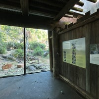 Photo taken at Western Lowland Gorilla by Conor M. on 8/3/2023