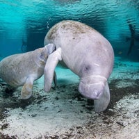 Снимок сделан в Manatee Fun Tours пользователем Broderick J. 5/3/2016