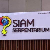 Photo taken at Siam Serpentarium by Jane S. on 2/11/2023