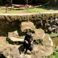 Photo taken at Kebun Binatang Ragunan by Dimas Fiancheto on 11/26/2021