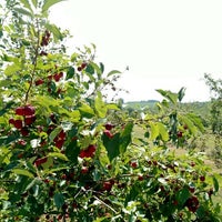 Photo taken at Maiden Rock Winery &amp;amp; Cidery by Brent L. on 8/15/2015