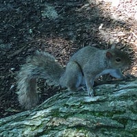 Photo taken at Central Park Sightseeing by Sehnaz D. on 6/22/2015