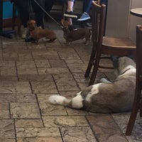 Photo taken at Java Dog Coffee House by Michael V. on 3/13/2018