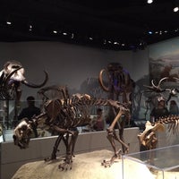Photo taken at The Field Museum by Erik R. on 7/11/2016