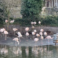 Photo taken at De Flamingo Serre by Arefe I. on 1/9/2022