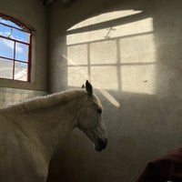 Photo taken at Levend Paardenmuseum - De Hollandsche Manege by Arefe I. on 1/29/2022