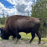 Photo taken at Yellowstone National Park by Kevin H. on 8/23/2023