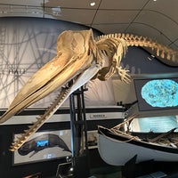 Снимок сделан в The Whaling Museum пользователем Kevin H. 6/25/2023