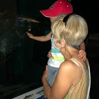 Photo taken at Aquatic &amp;amp; Reptile Center by Ozzy on 7/22/2021