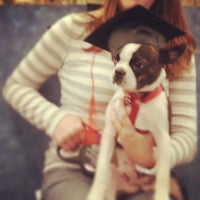 paw patrol ready bed big w