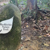 Photo taken at MacRitchie Nature Trails by Yongsuk H. on 10/22/2023