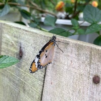 Photo taken at Butterfly Farm by Bader A. on 5/16/2023