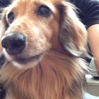 湘南台セントラル動物病院