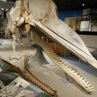 Foto scattata a New Bedford Whaling Museum da Jt T. il 5/13/2017