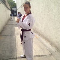 pumas taekwondo