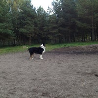 Photo taken at Sarvaston aluepuiston koira-aitaus by Micky W. on 9/15/2012