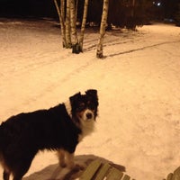 Photo taken at Sarvaston aluepuiston koira-aitaus by Micky W. on 1/12/2013