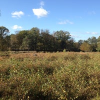 Photo taken at Ockham Common by Andrew G. on 10/27/2012
