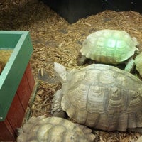 Photo taken at Pet World Lawrence by Mike R. on 10/27/2012