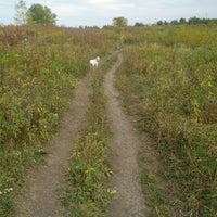 Photo taken at East Branch dog park by John H. on 10/1/2012