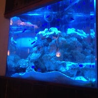 Deep Blue 横浜 関内 横浜市 神奈川県