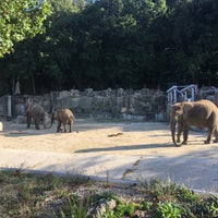 Photo taken at Schönbrunn Zoo by Roman N. on 9/11/2019