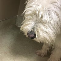 smoketown veterinary clinic