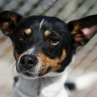 Das Foto wurde bei Humane Society of South Coastal GA von Leigh Anne E. am 11/23/2012 aufgenommen