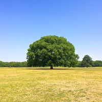 みんなの原っぱ 昭島 5個のtips みんなの原っぱ 昭島 5個のtips