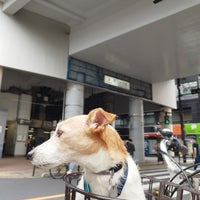 Photo taken at Toritsu-daigaku Station (TY06) by kazuki01 on 5/21/2023