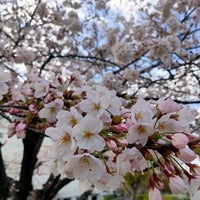 Photo taken at Etchujima Park by kazuki01 on 3/26/2022