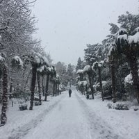 Foto scattata a Wellness&amp;Spa PRIMORSKY PARK da Александр П. il 1/27/2017